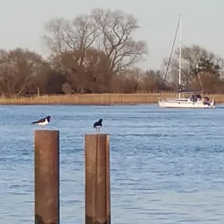 Am Weserstrand Naehe Nordsee Elsfleth